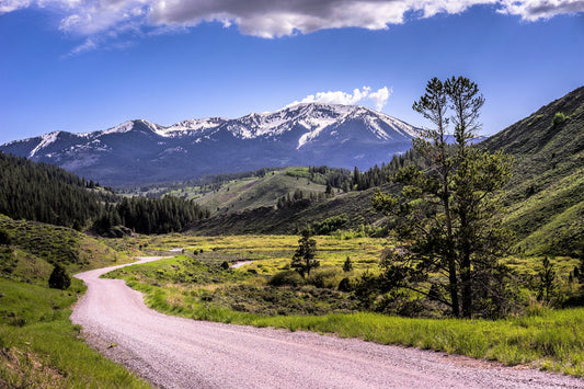 The end of the Roadless Rule?