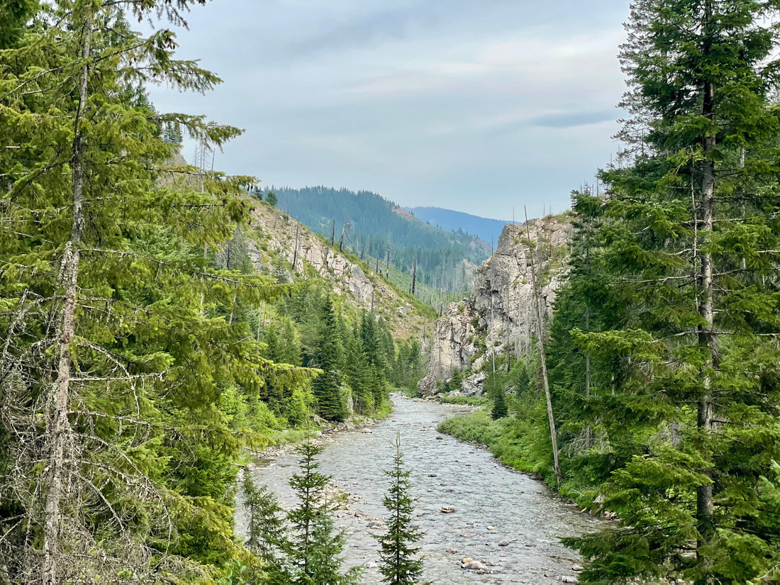 Wilderness Catalog: The Selway-Bitterroot Wilderness
