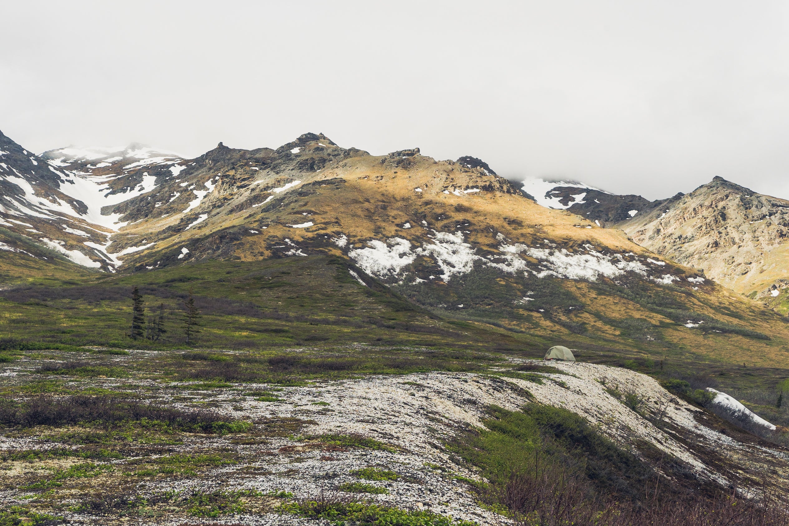 A backpacking tent in Denali National Park.