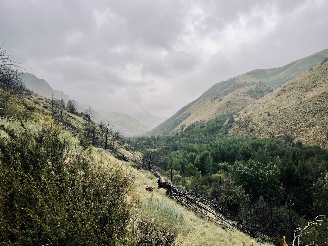 Wilderness Catalog: The Jarbidge Wilderness