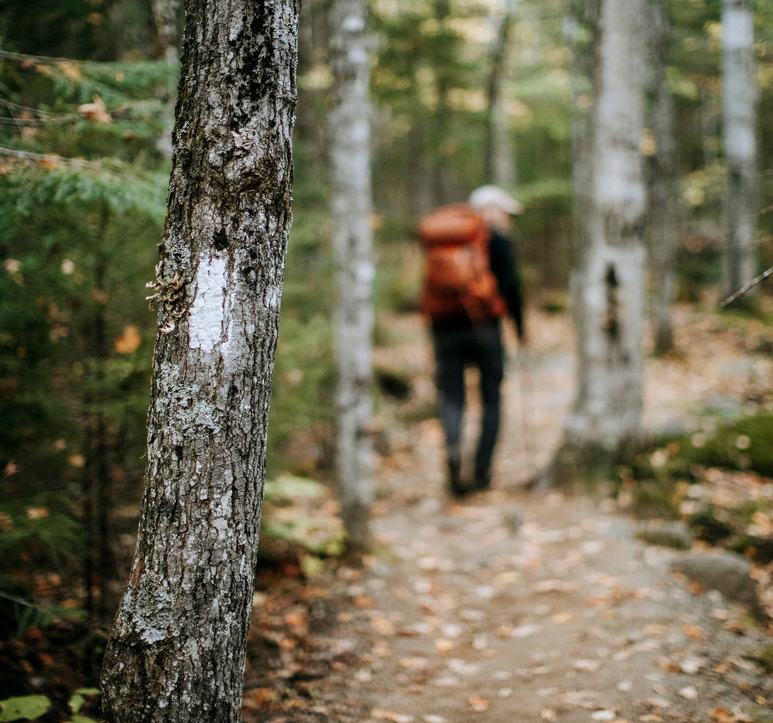 Ultralight: I Hiked the AT with a Flip Phone