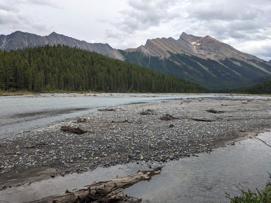 In The Trenches: This Foot Injury is More Common than Backpackers Expect