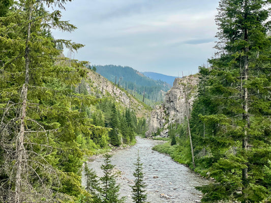 Wilderness Catalog: The Selway-Bitterroot Wilderness