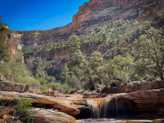 Wilderness Almanac: Dark Canyon
