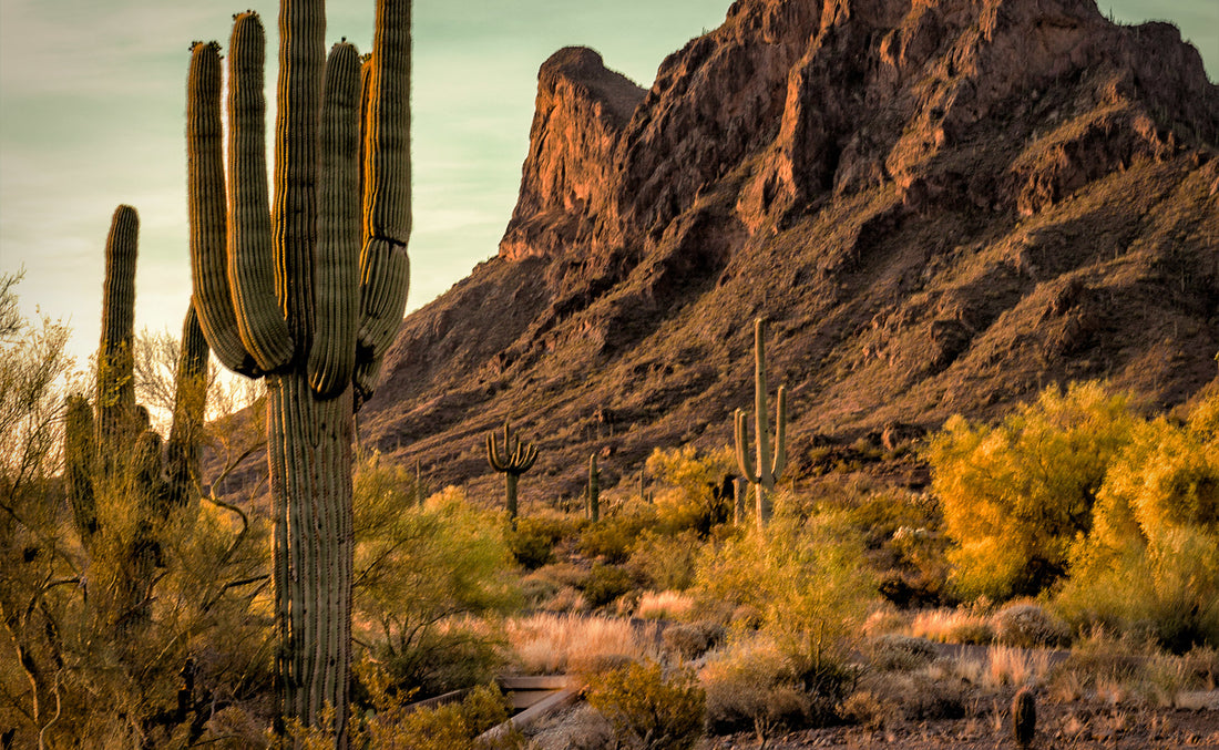 A new long trail from Mexico to Las Vegas is in the works.