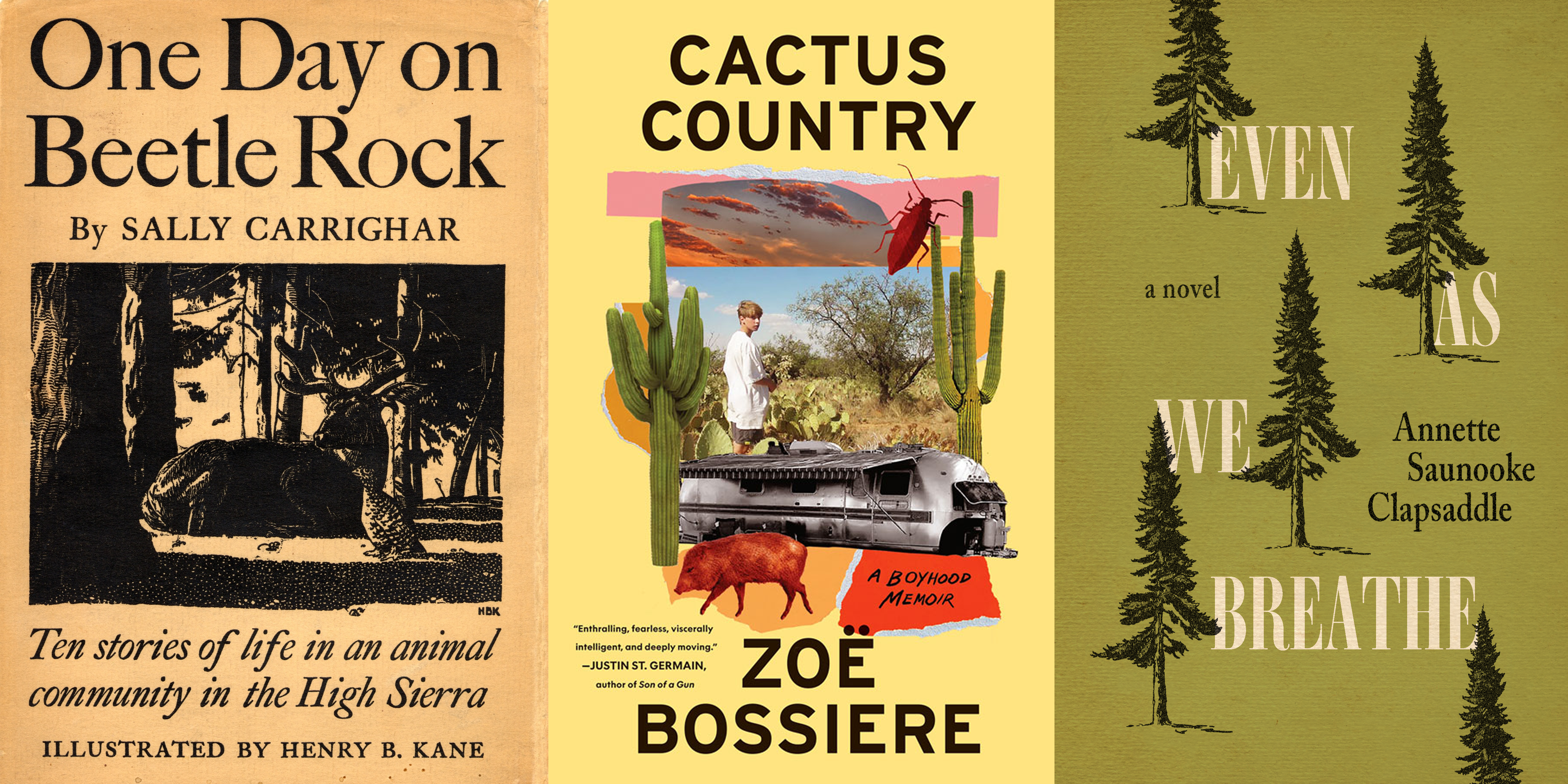 The Best Books to Take On-Trail, By Terrain