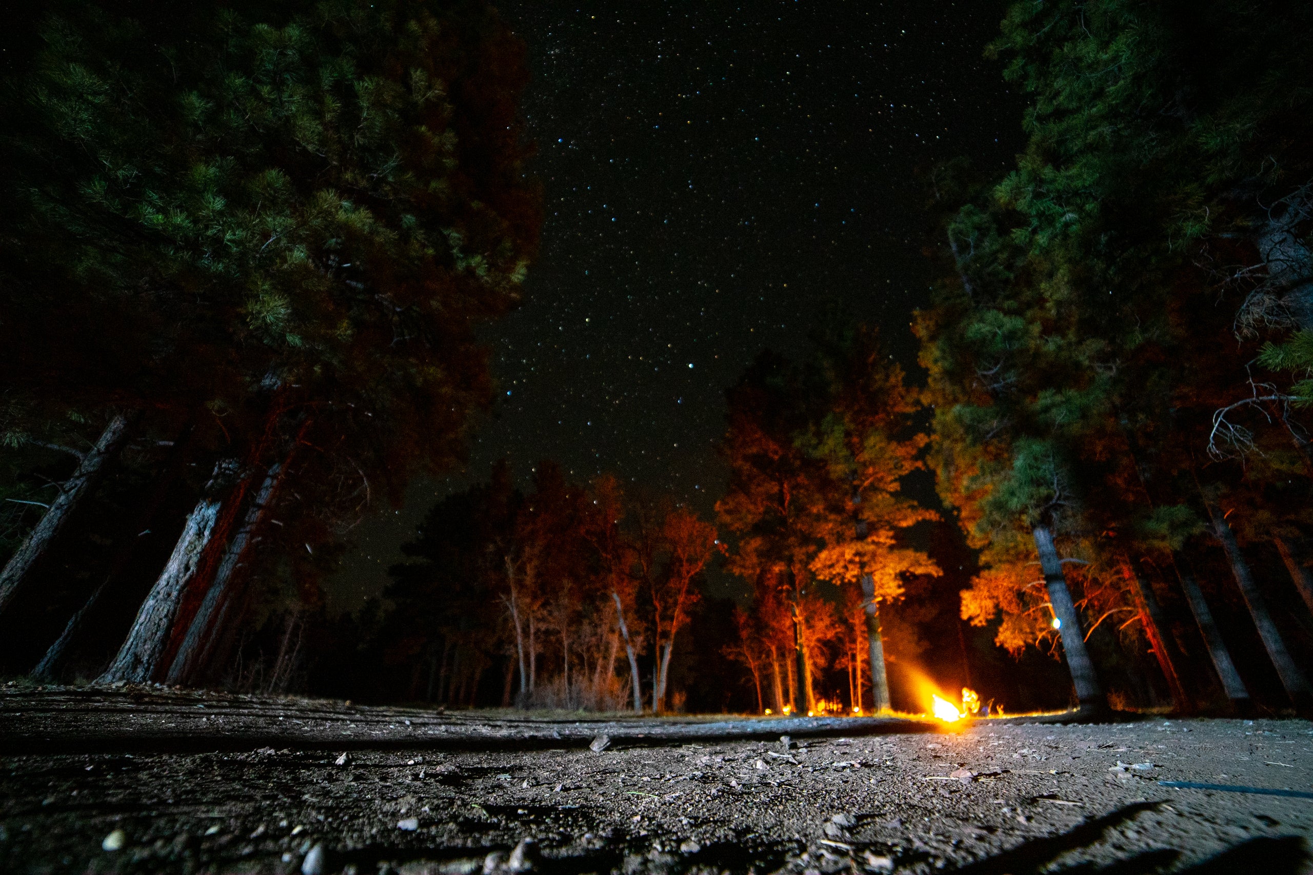 A campfire in Kaibab National Forest.